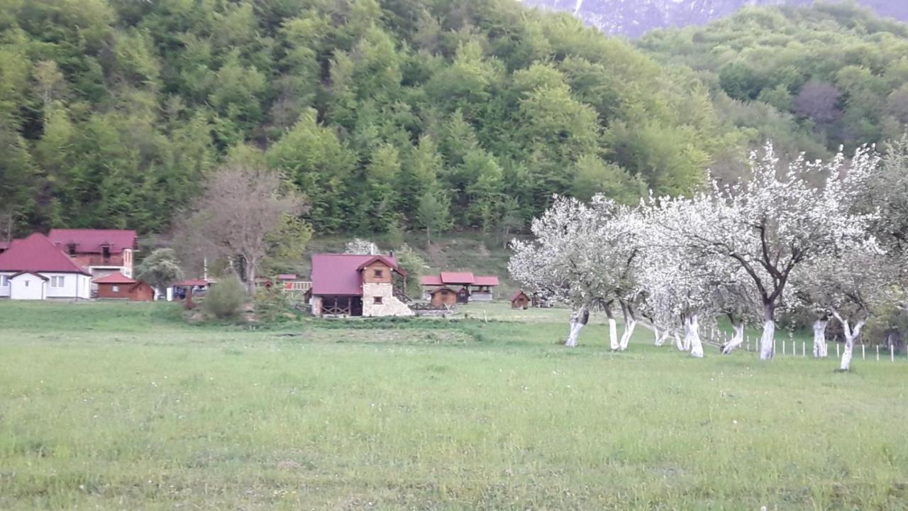Camp &Apartmens Scepanovic Mojkovac Exterior foto