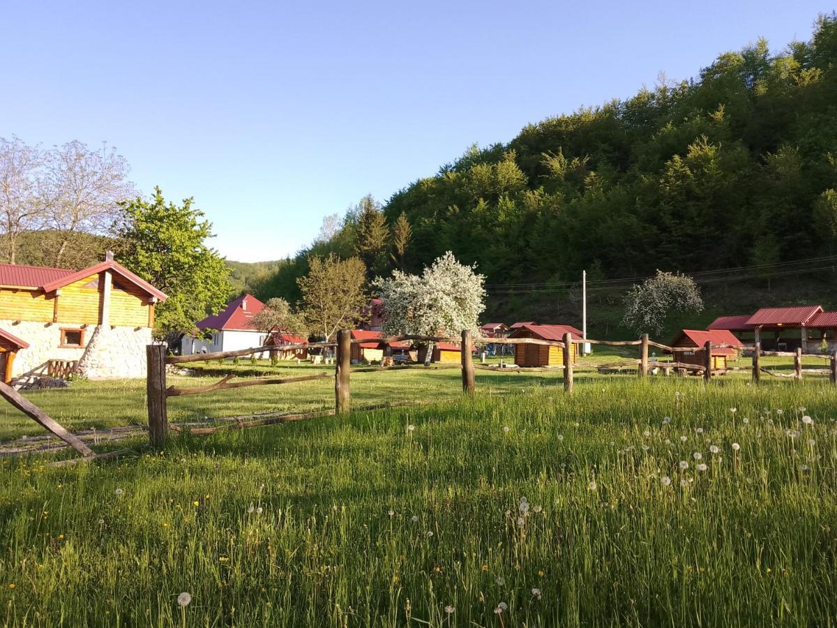 Camp &Apartmens Scepanovic Mojkovac Exterior foto